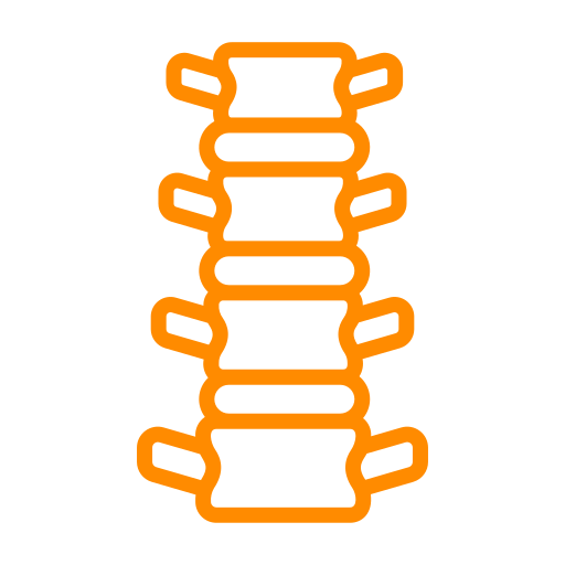 spine